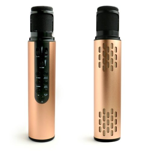 RELAX iSONG カラオケマイク ESP02036