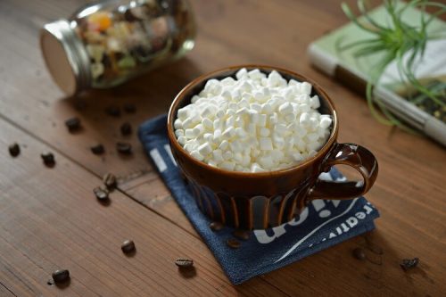 中村化成産業 マックルーニ チップマシュマロ 極小