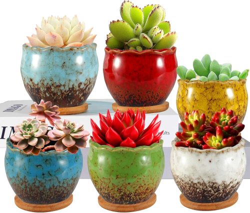 FaceColor 多肉植物鉢 3号鉢