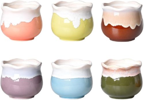 koundeneko 多肉植物鉢 6個セット