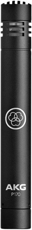 アーカーゲー(AKG) 高性能楽器用マイクロホン P170