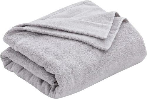 昭和西川 今治 タオルケット