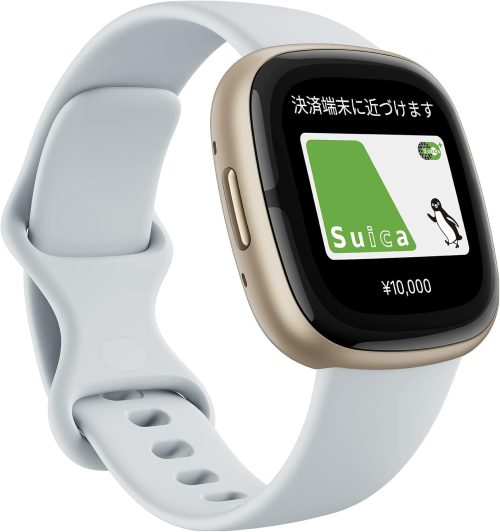 フィットビット(Fitbit) Fitbit Sense 2 FB521
