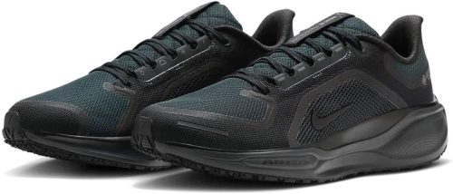 ナイキ(NIKE) ナイキ ペガサス 41 GORE-TEX FQ1356