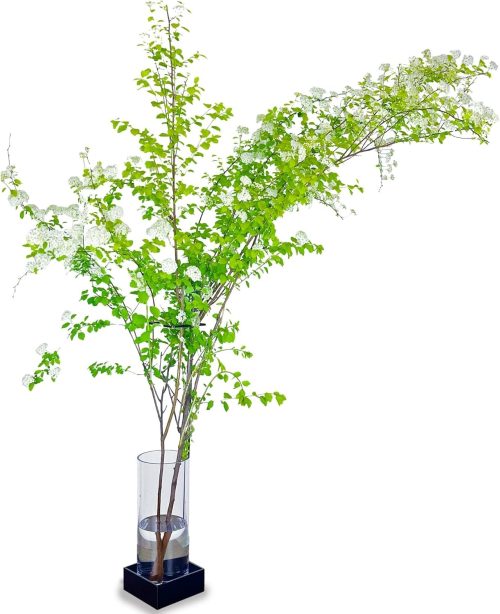 monoKOZZ 倒れず飾れる枝ものスタンド Eda stand 花瓶セット