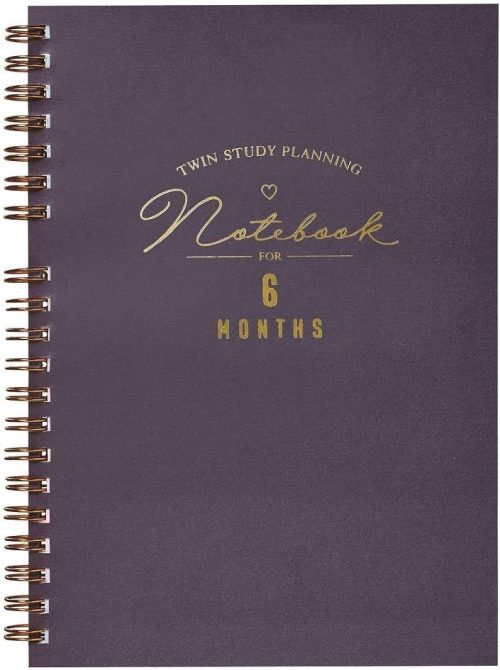 学研ステイフル(Gakken) ツインスタディ6ヶ月 D16011