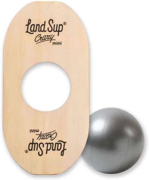 LandSup Crazy mini バランスボード