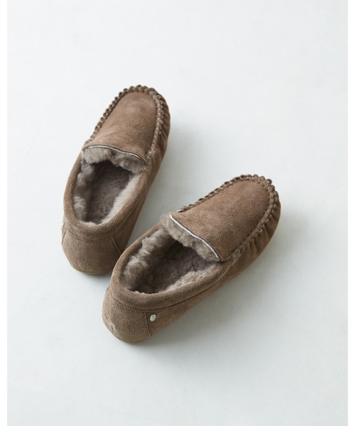 エミュー(EMU) Cairns