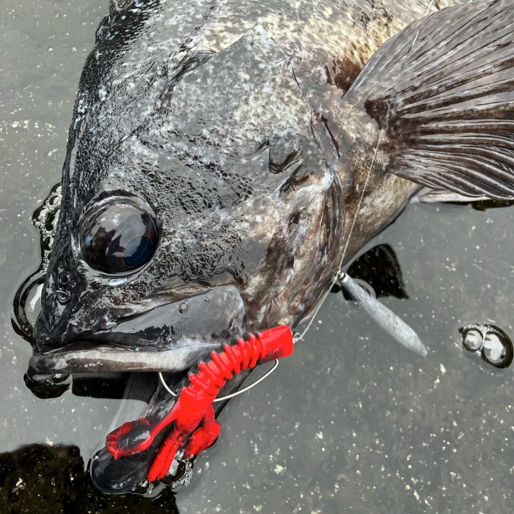 釣りのイメージ