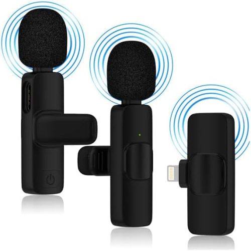 GAEF ピンマイク