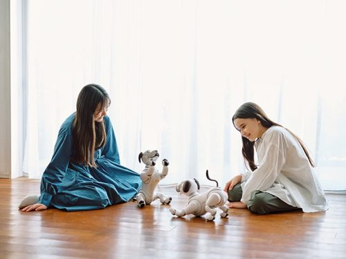 ソニー(SONY) aibo