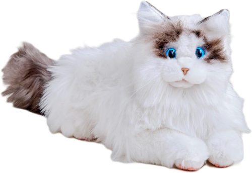 セガフェイブ(SEGA FAVE) KIMIT