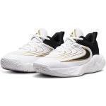 ナイキ(NIKE) ヤニス イモータリティ 4 FZ6734-100