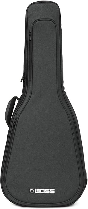 ボス(BOSE) Guitar Gig Bag CB-AG10