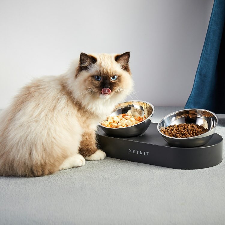 猫用品のイメージ