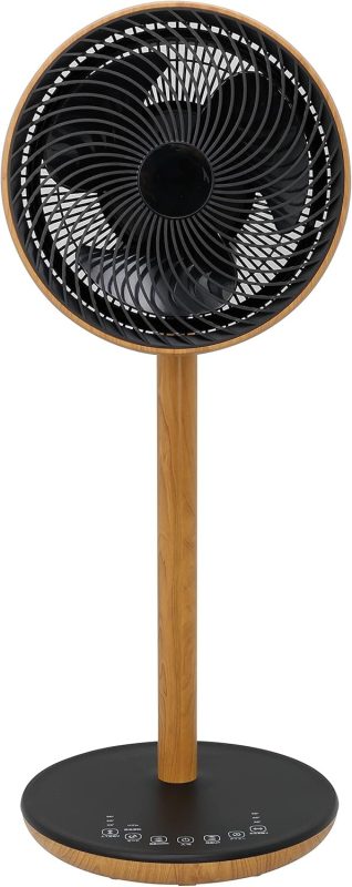 エスケイジャパン(SK Japan) リビング扇風機 SKJ-SY21BDC