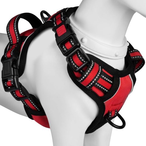 BaoCheng ハーネス