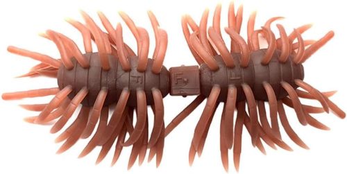 イマカツ(IMAKATSU) ヘアリースパイダー クジャラ