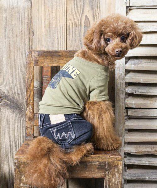 アズノゥアズ デワン(as know as de wan) 古音ＮラジカセドッグＴ