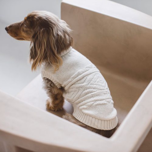 フリーステッチ(free stitch) オーガニック オルテガニット