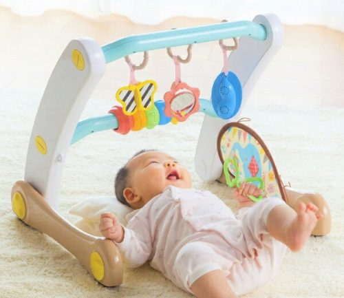 ピープル(People) うちの赤ちゃん世界一 スマート知育ジム＆ウォーカー