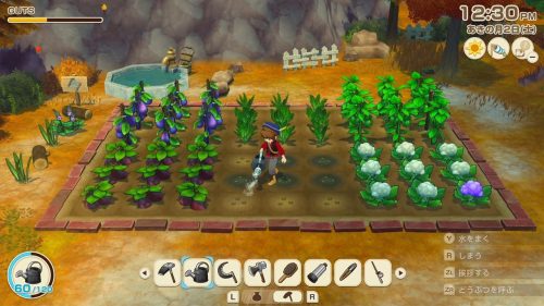 牧場物語 Let's！風のグランドバザール - マーベラス