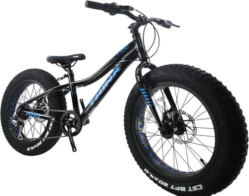 トリンクス(TRINX) ビーチクルーザー ファットバイク T100