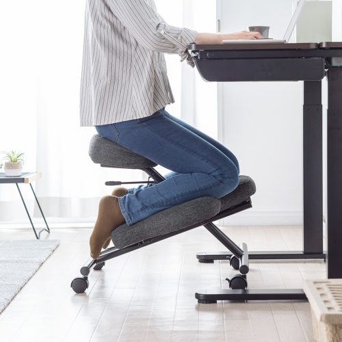 サンワサプライ(SANWA SUPPLY) バランスチェア 150-SNCH051