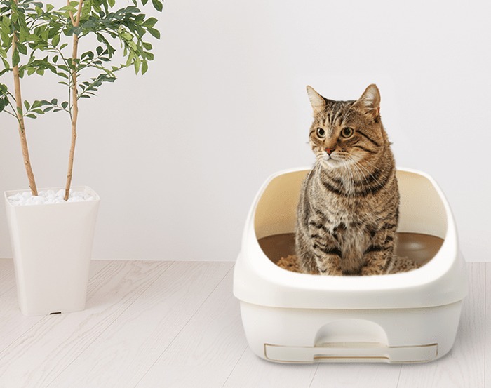 猫用品のイメージ