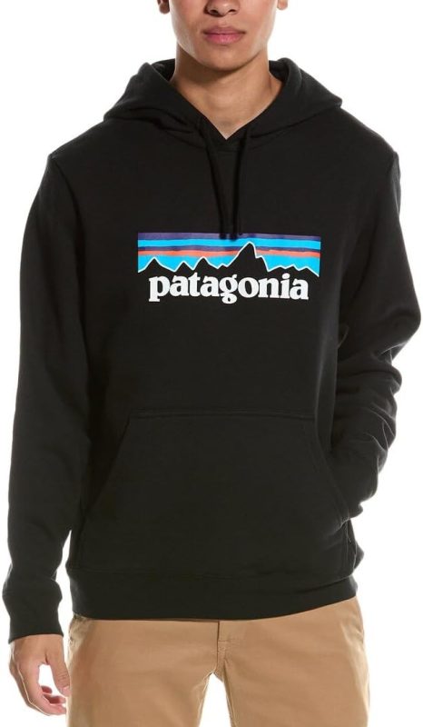パタゴニア(patagonia) P-6 ロゴ・アップライザル・フーディ