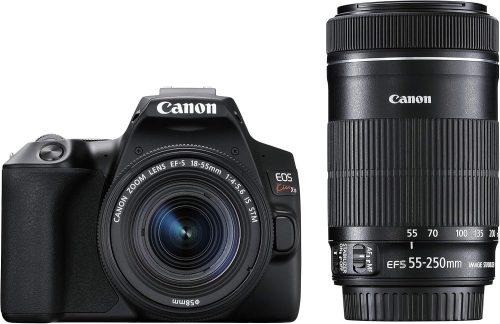 キヤノン(Canon)の一眼レフおすすめ11選。人気の初心者向けモデルも