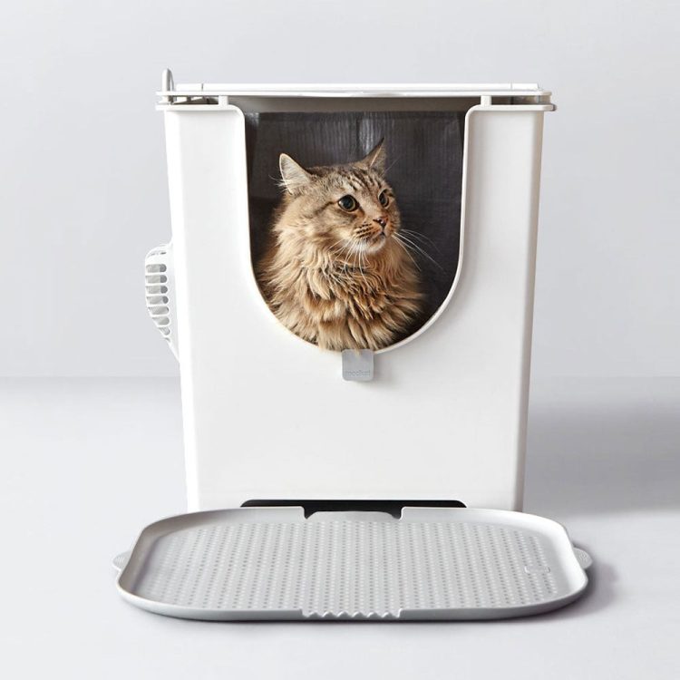 猫用品のイメージ