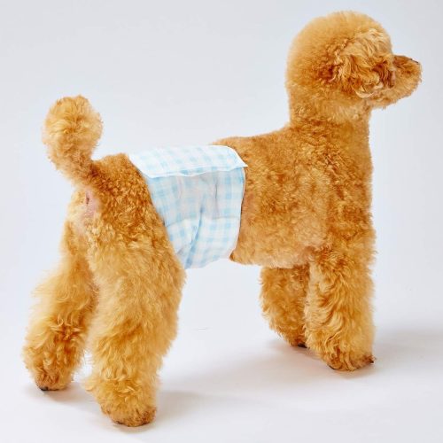ペティオ(Petio) Petzone エチケットウェア男の子用