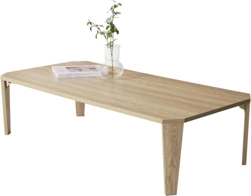 萩原工業(Hagihara) 折りたたみテーブル MT-6867NA