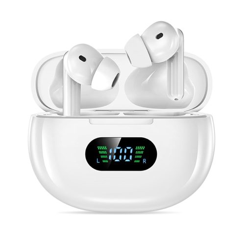 PourPanziKing 集音器 AID2