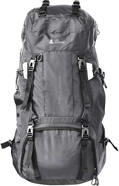 ラドウェザー(LAD WEATHER) 登山 リュック 60L ladbag013