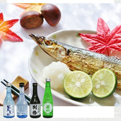 気仙沼さん 気仙沼 日本酒 飲み比べセット