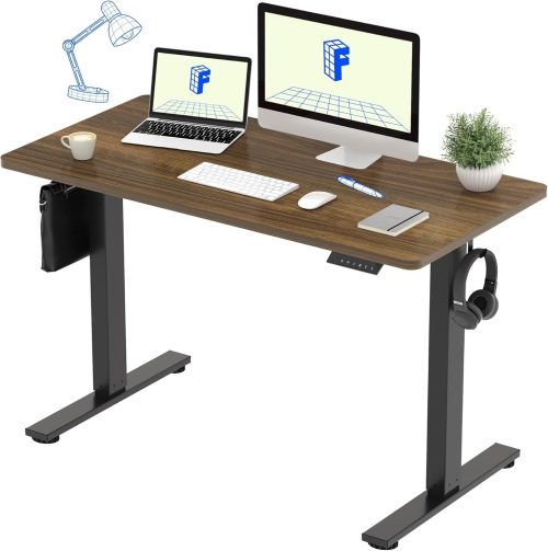 FLEXISPOT 電動式スタンディングデスク EF1