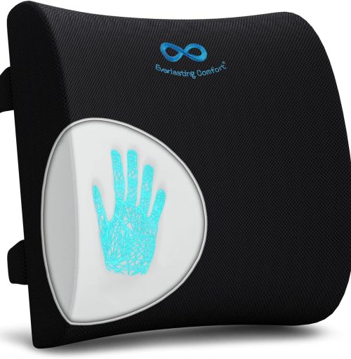 Everlasting Comfort ランバーサポートピロー