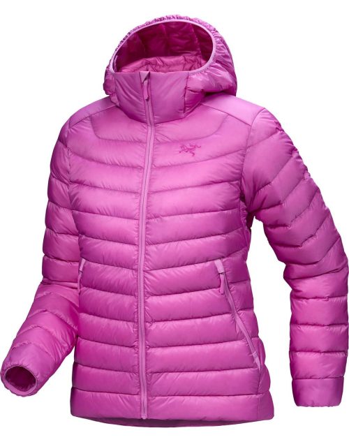 アークテリクス(ARC’TERYX) セリウム フーディ