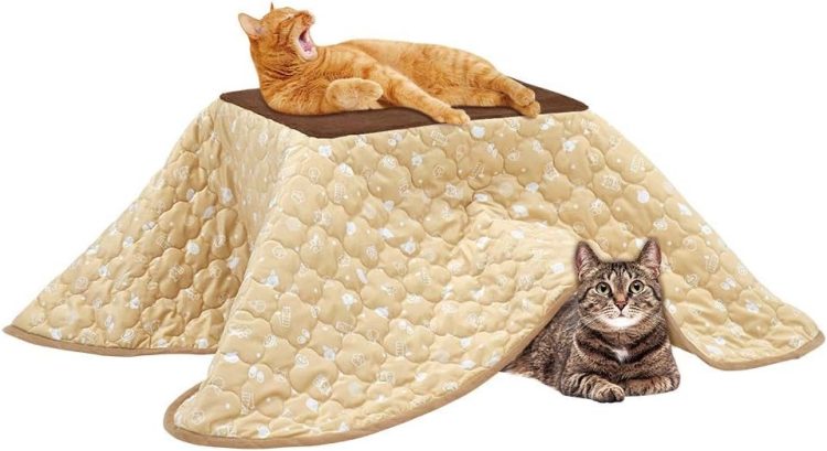 猫用品のイメージ