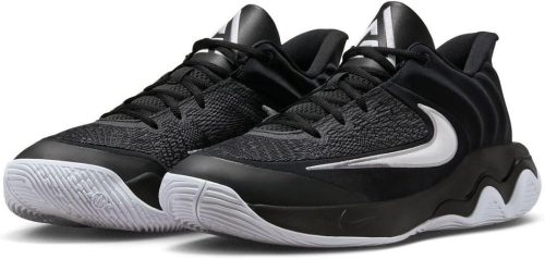 ナイキ(NIKE) ヤニス イモータリティ 4 EP FQ3681