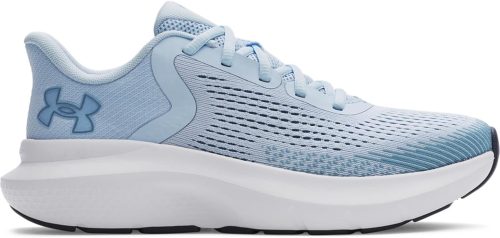 アンダーアーマー(Under Armour) UAチャージド ローグ5