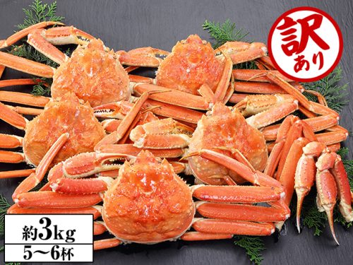 カニ本舗 お値打ち・訳あり ボイルずわい姿5~6杯 約3kg