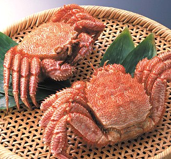 北海道網走水産 毛がに ボイル 2尾 800g