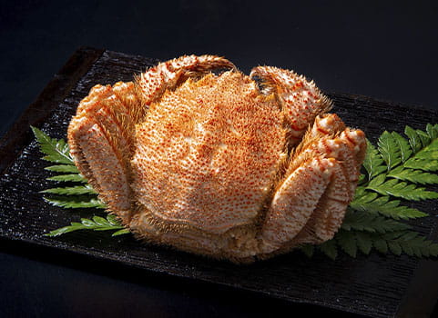 北海道ぎょれん 浜ゆで毛がに 550g×1尾
