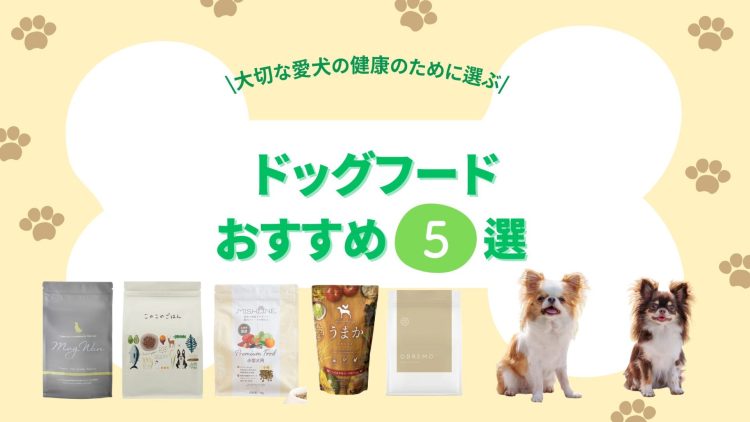 【2025年版】ドッグフードのおすすめランキング。獣医師が選び方を徹底解説