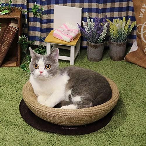 猫用品のイメージ
