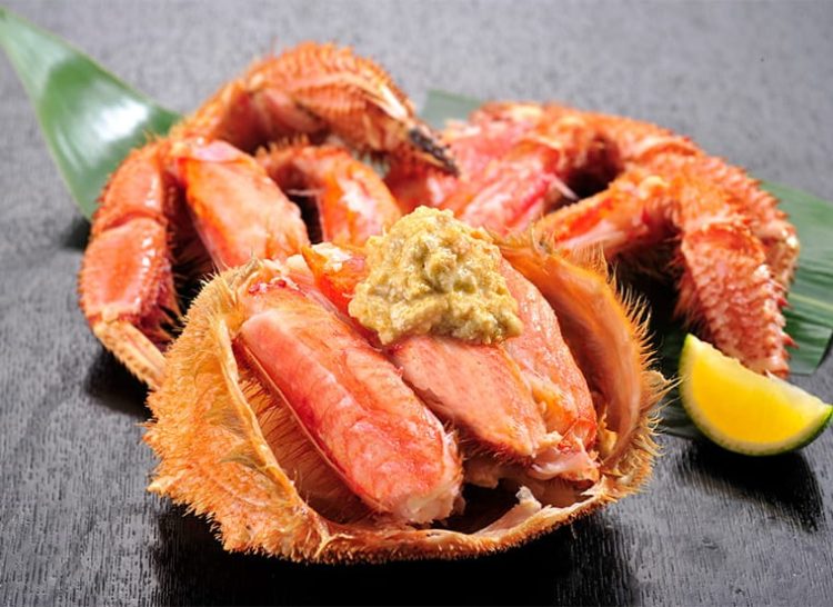 魚介類のイメージ