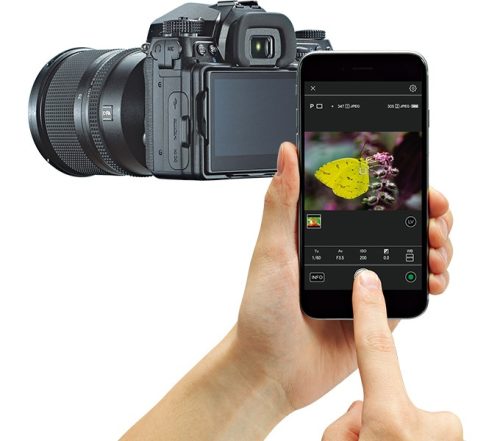 2025年版】ペンタックスの一眼レフおすすめ3選。人気のモデルを